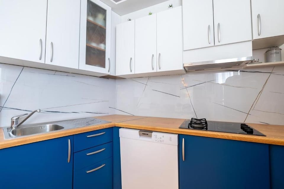 Apartment (A2) | Private kitchen | Fridge, microwave, oven, stovetop