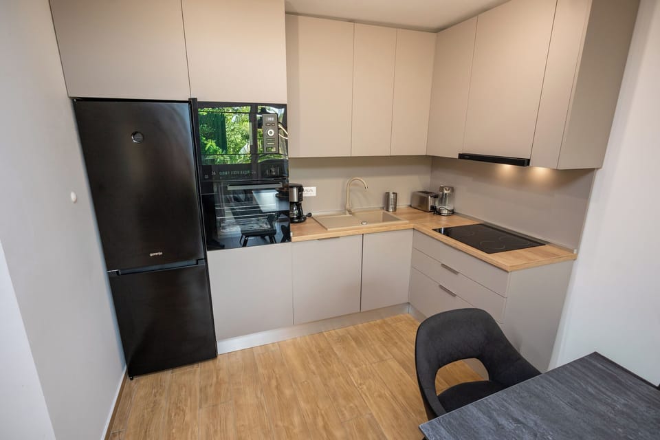 Apartment (A1) | Private kitchen | Fridge, microwave, oven, stovetop