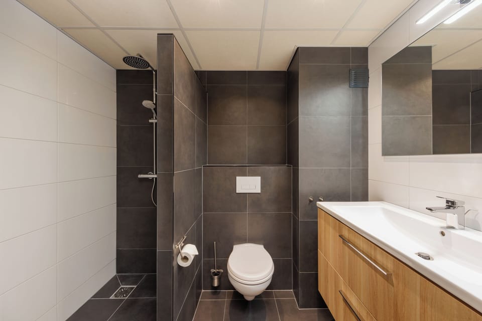 Deluxe Double Room | Bathroom | Hair dryer, towels, toilet paper