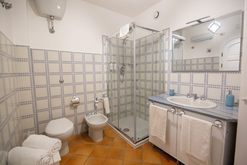 Double Room, 1 King Bed with Sofa bed | Bathroom | Shower, hair dryer, towels, soap