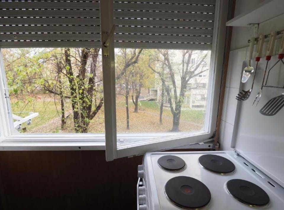 Apartment (Two Bedroom Apartment) | Private kitchen | Fridge