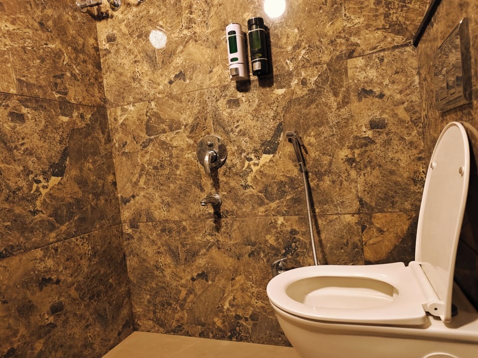 Deluxe Double Room, 1 King Bed, City View | Bathroom | Shower, hair dryer, slippers, bidet