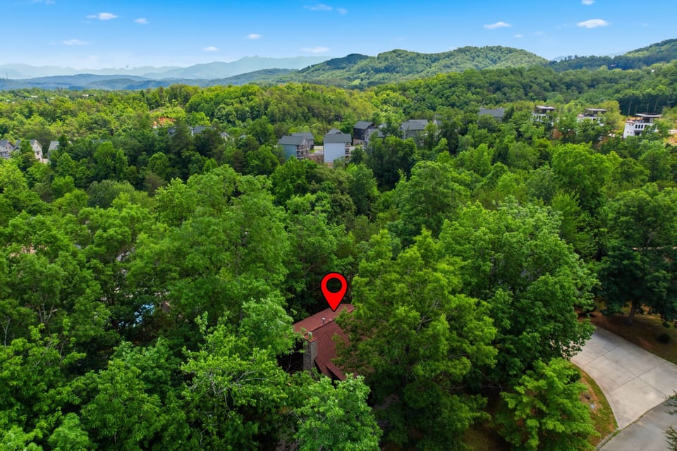 Cabin, 1 Bedroom | Aerial view