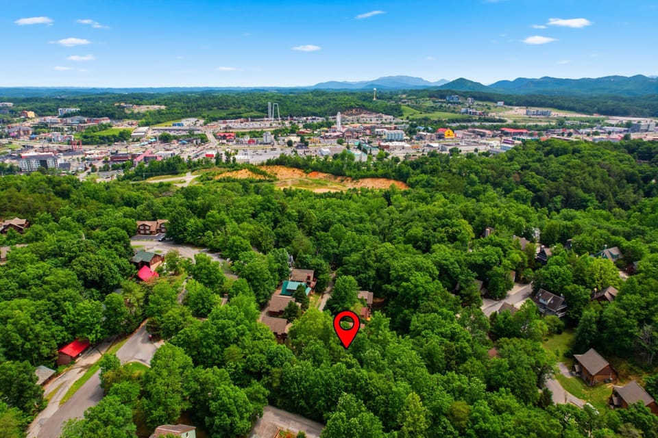 Cabin, 1 Bedroom | Aerial view