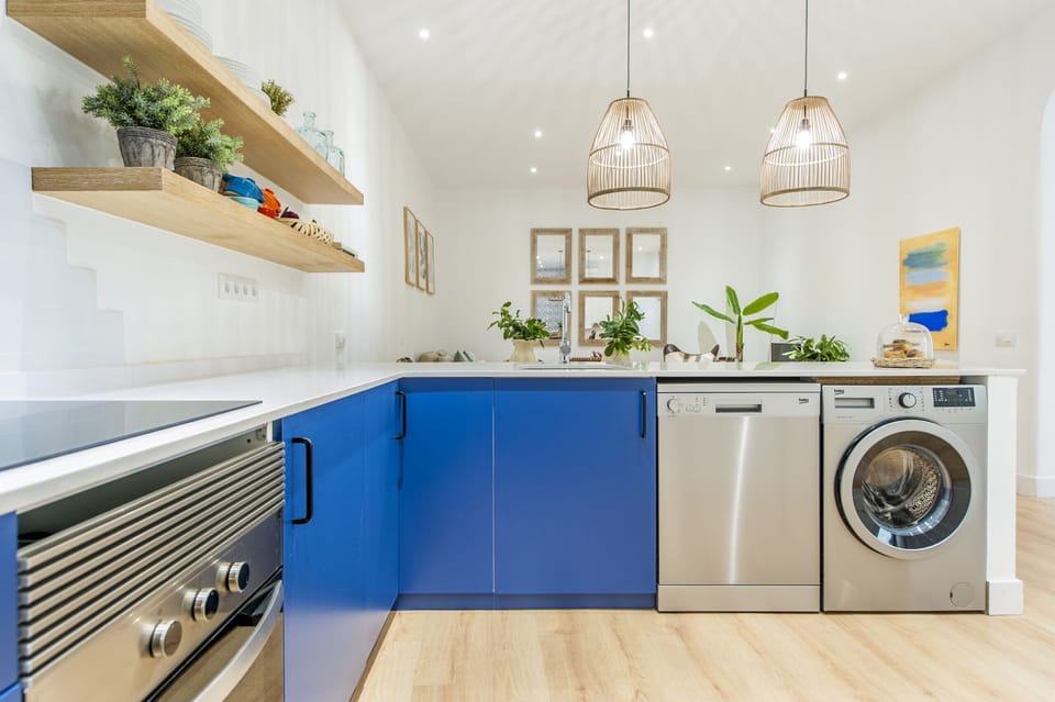 Deluxe Apartment | Private kitchen | Fridge, electric kettle, freezer