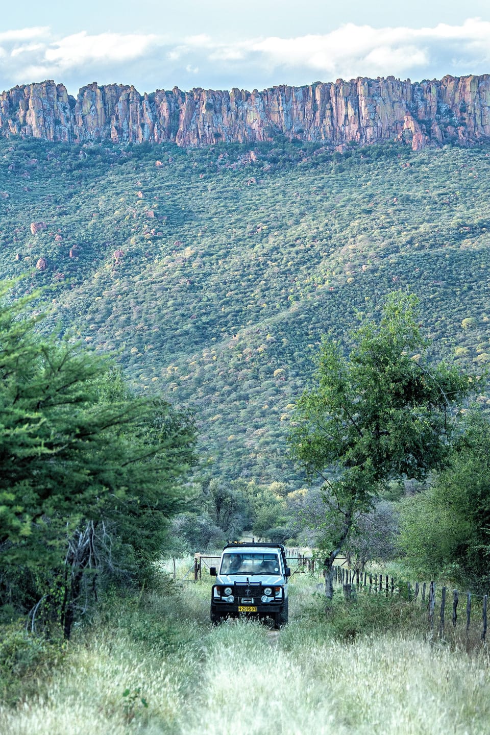 Game drive