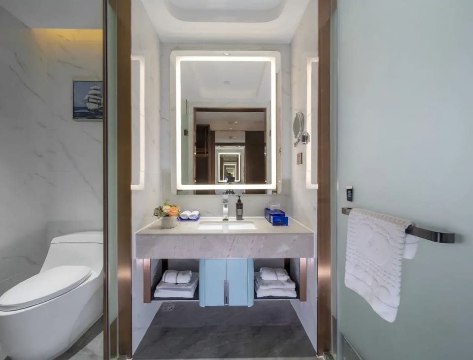 Premier Twin Room, City View | Bathroom | Shower, free toiletries, hair dryer, towels