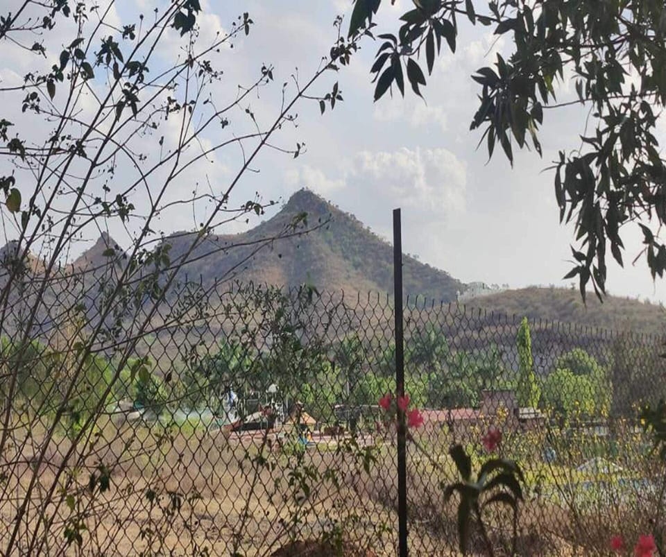 House | View from property