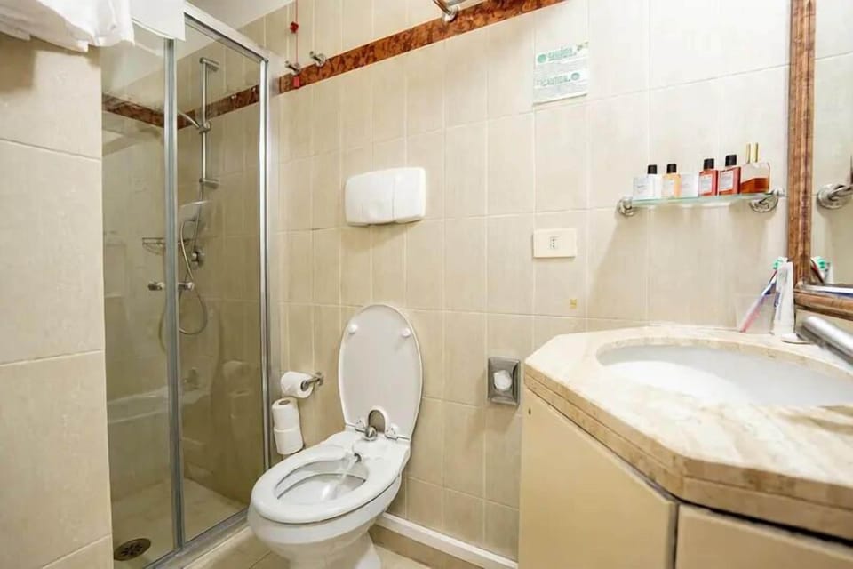 Shower, towels, toilet paper