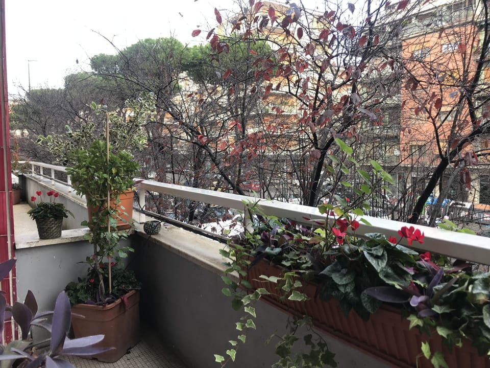 View from room