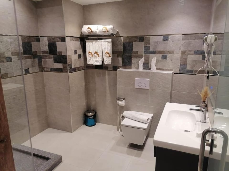 Combined shower/tub, free toiletries, hair dryer, bidet