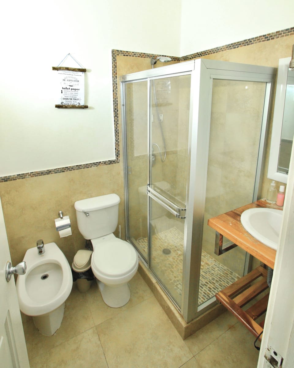 Comfort Double Room | Bathroom | Shower, hair dryer, towels, soap