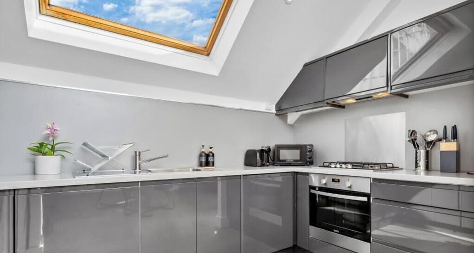 Apartment, 1 King Bed with Sofa bed, Non Smoking, Kitchen | Private kitchen | Electric kettle, toaster
