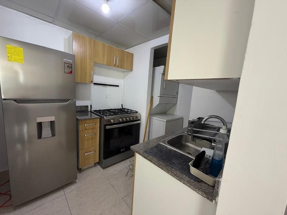 Comfort Apartment, Park View | Private kitchen | Fridge, microwave, oven, stovetop