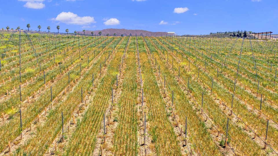 Winery