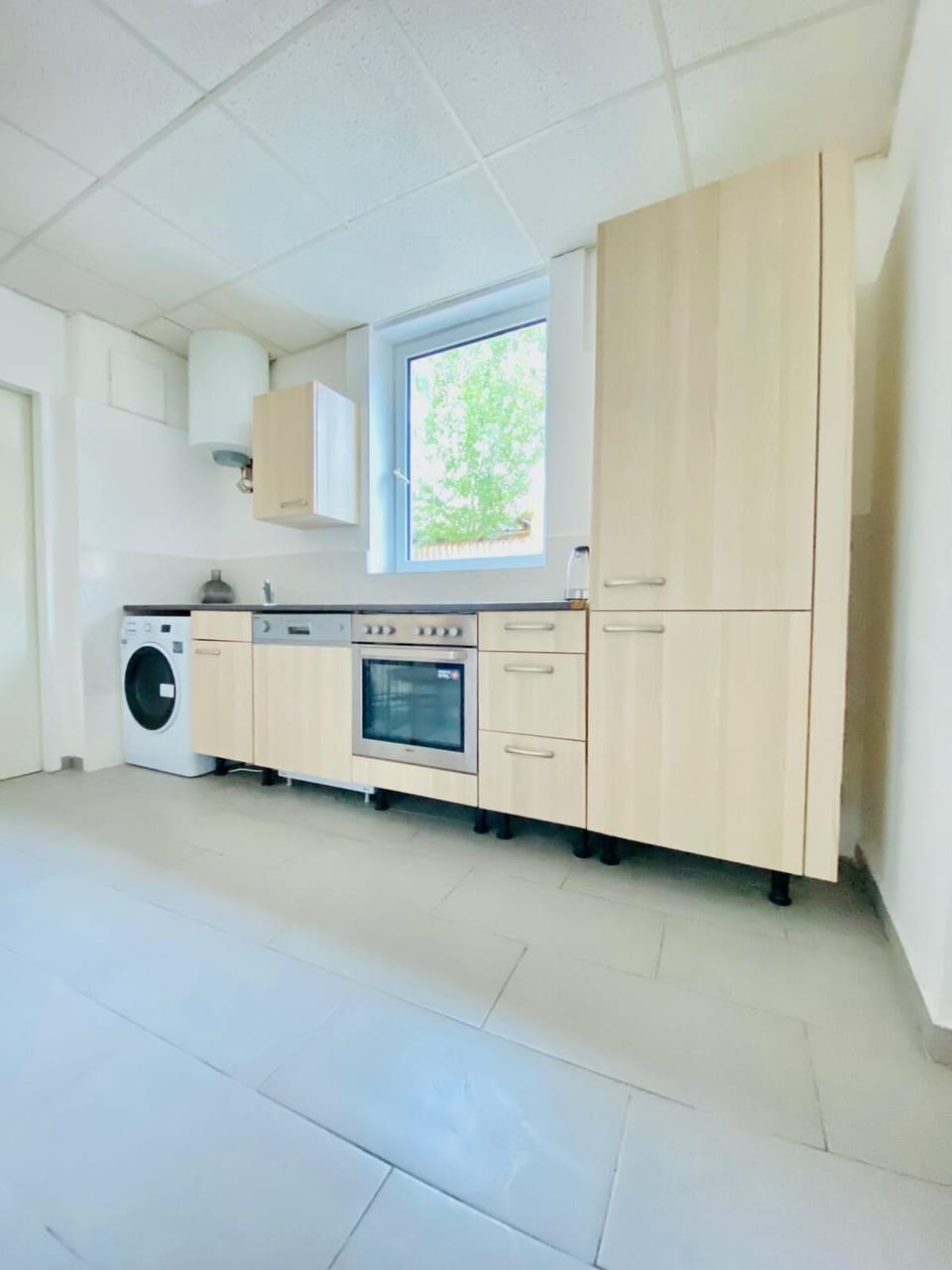 Basic Apartment | Private kitchen | Mini-fridge, oven, stovetop, dishwasher