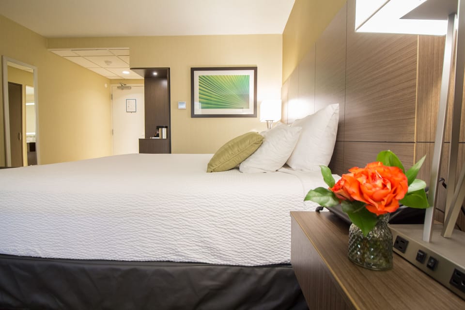 Premium bedding, pillowtop beds, desk, blackout drapes