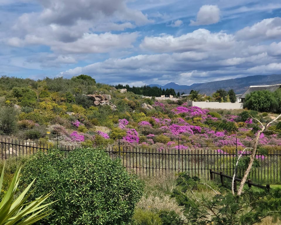 House, 2 Bedrooms, Patio, Lake View | Garden
