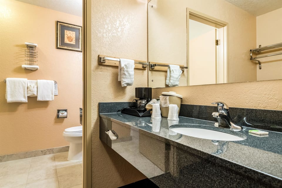 Combined shower/tub, free toiletries, hair dryer, towels