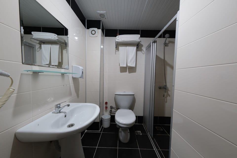 Standard Double or Twin Room | Bathroom | Shower, free toiletries, hair dryer