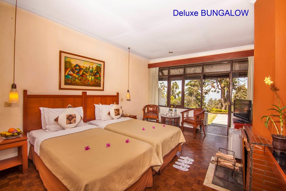 Deluxe Room, 2 Twin Beds | Room amenity