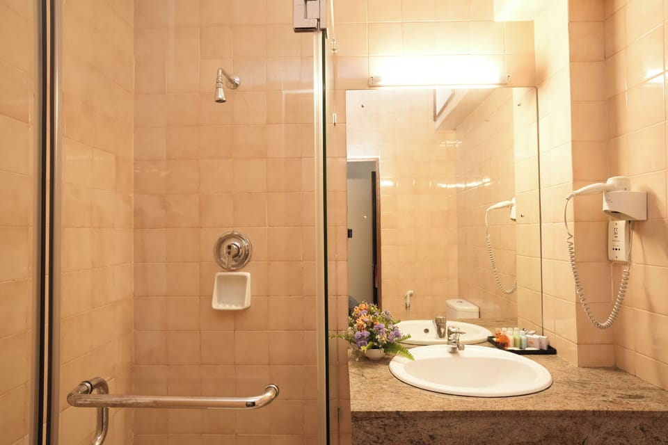 Shower, free toiletries, hair dryer, slippers