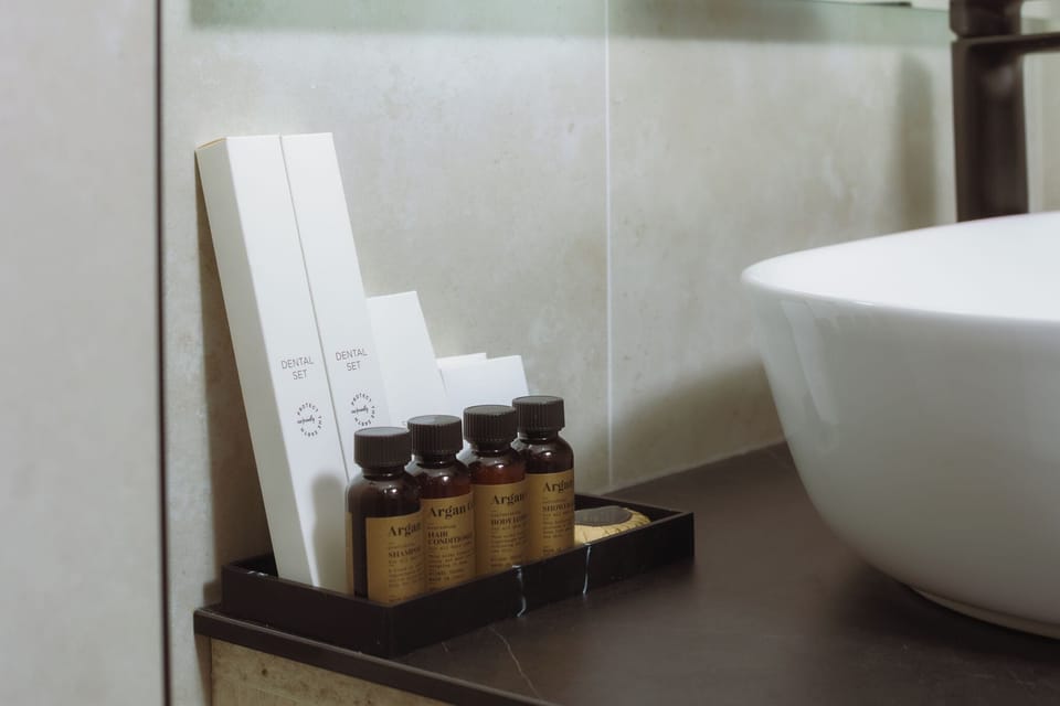 Basic Suite | Bathroom | Shower, towels, soap, shampoo