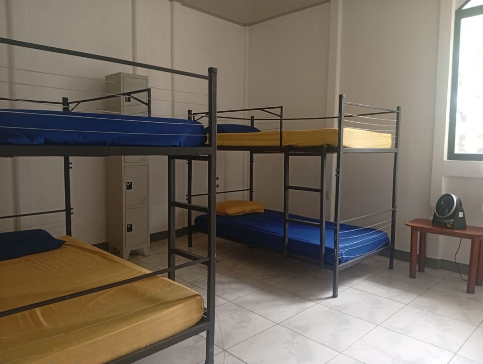 Basic Quadruple Room, Garden View | WiFi (free)