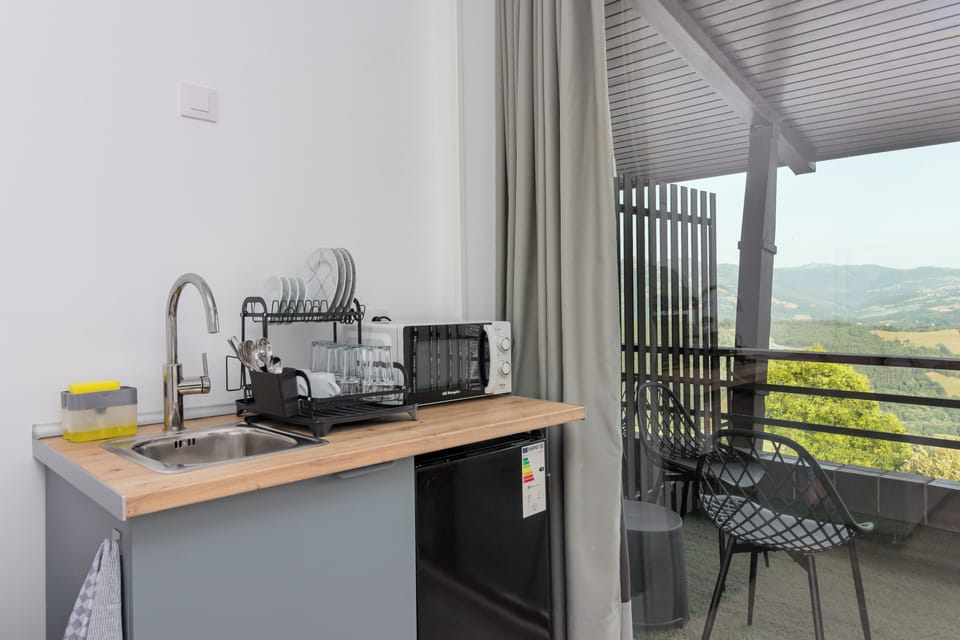 Basic Suite, Mountain View | Private kitchen | Full-size fridge, microwave, cookware/dishes/utensils, freezer