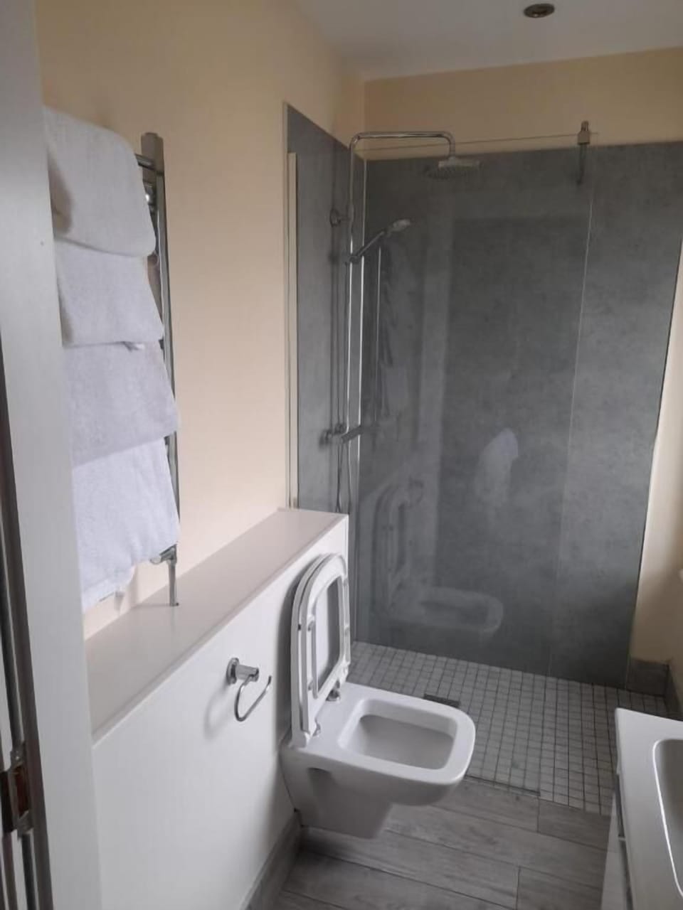 Shower, free toiletries, hair dryer, bathrobes
