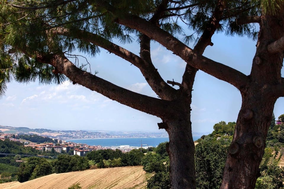 Premium Double or Twin Room, 1 Bedroom, Terrace, Sea Facing | View from room