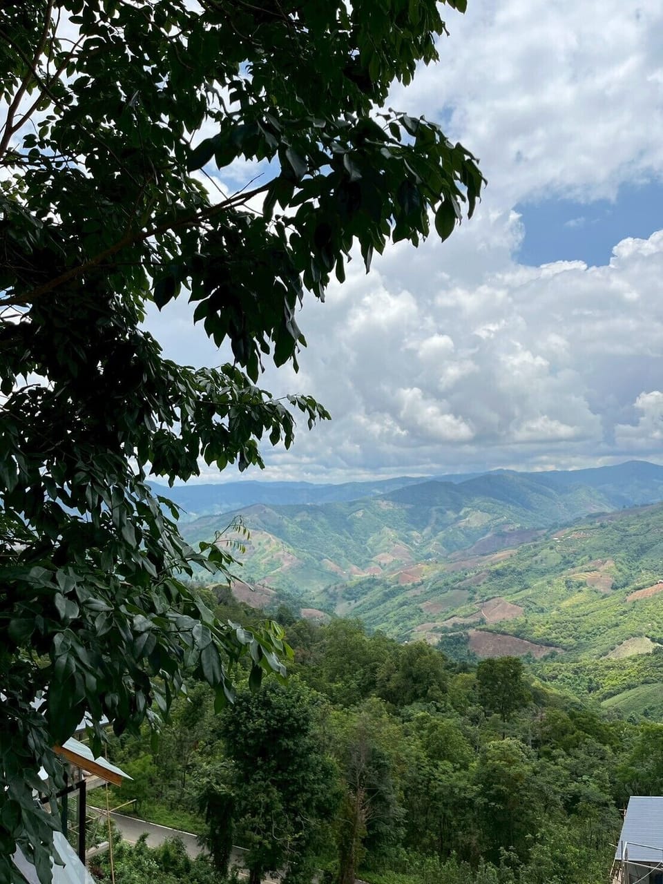 Family Room, Non Smoking, Hill View | View from room