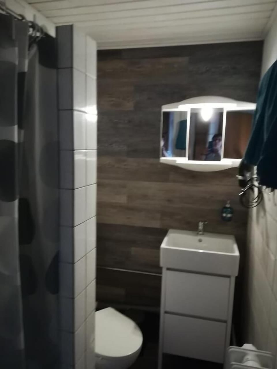 Double Room, Mountain View | Bathroom | Shower, free toiletries, hair dryer, slippers