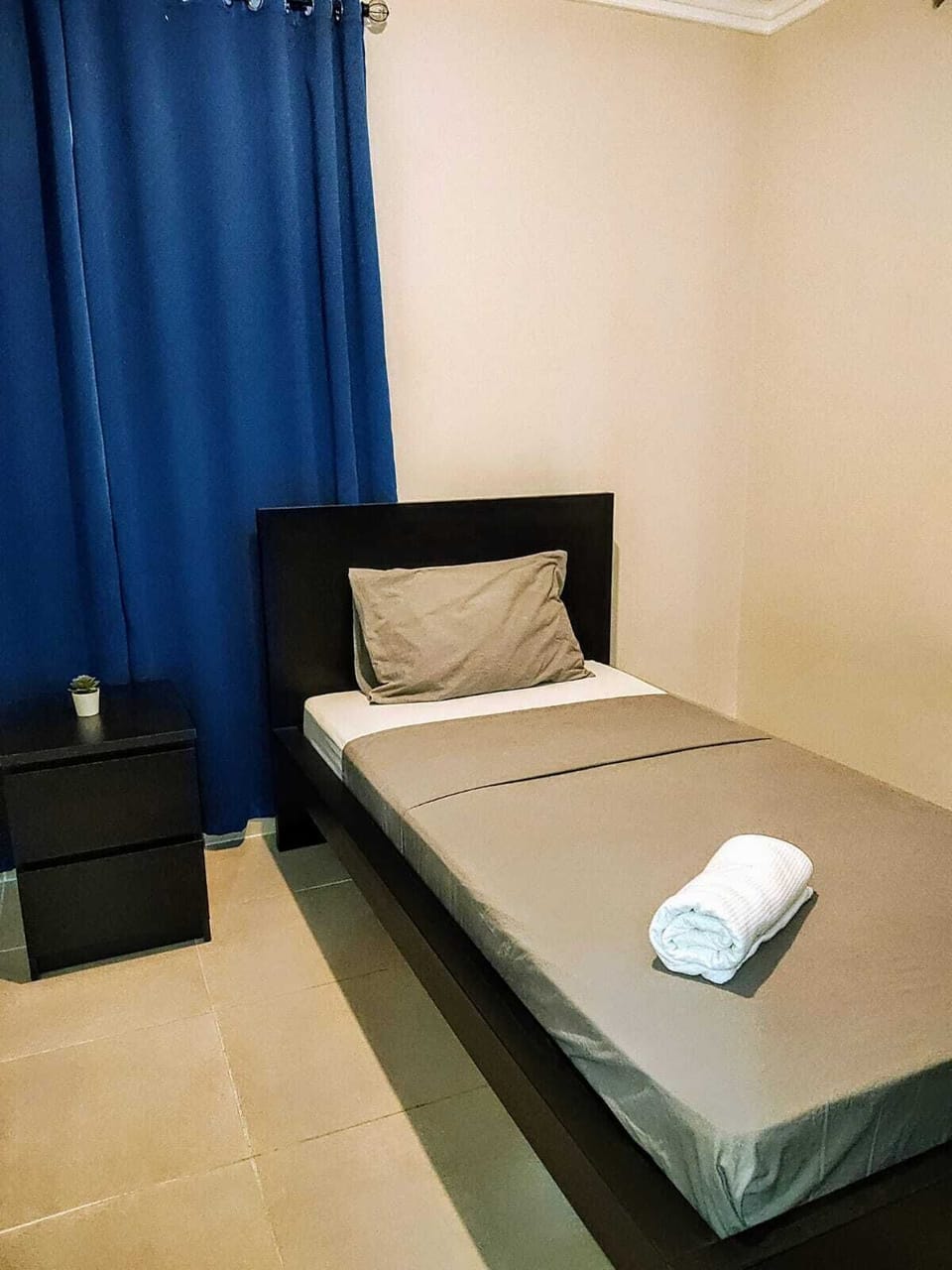 WiFi (free)