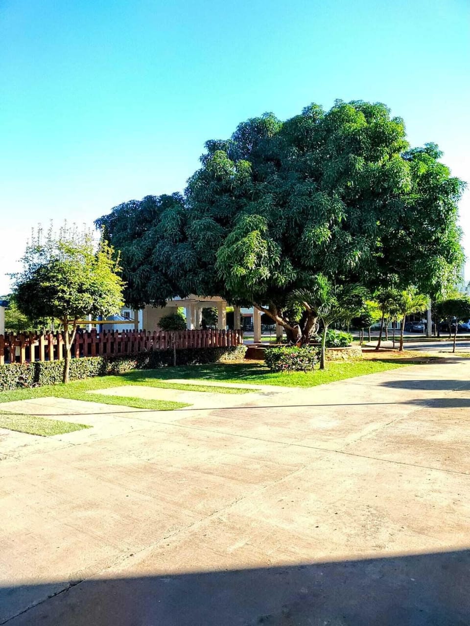 Standard Apartment, Garden View | Property grounds