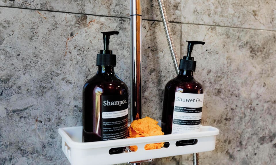 Shower, free toiletries, bidet, towels