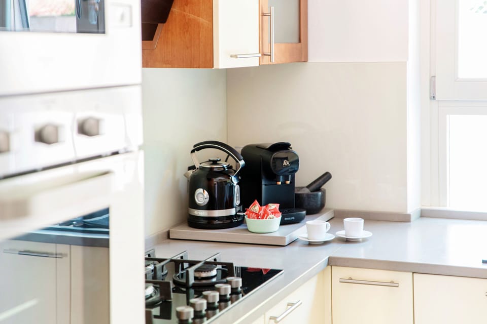Apartment, Lake View | Private kitchen | Full-size fridge, microwave, oven, stovetop