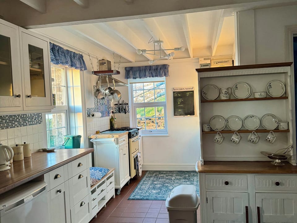 Cookware/dishes/utensils