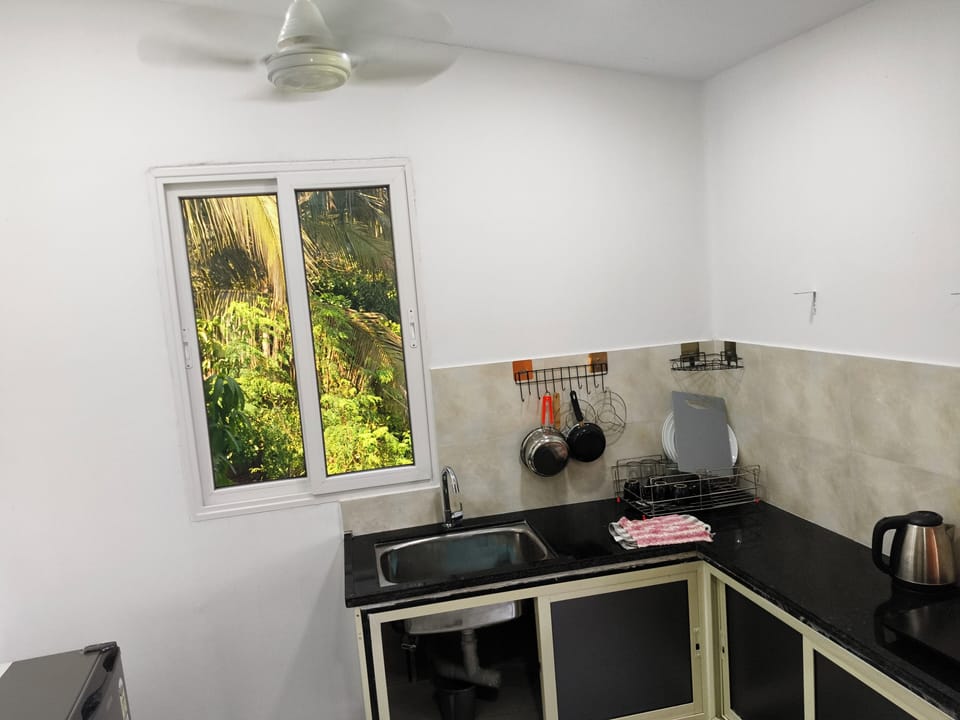 Deluxe Single Room, Balcony | Private kitchen | Full-size fridge, stovetop, dishwasher, cookware/dishes/utensils