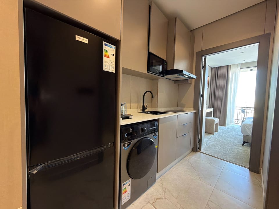 Apartment, 1 Bedroom, Accessible, Smoking | Laundry