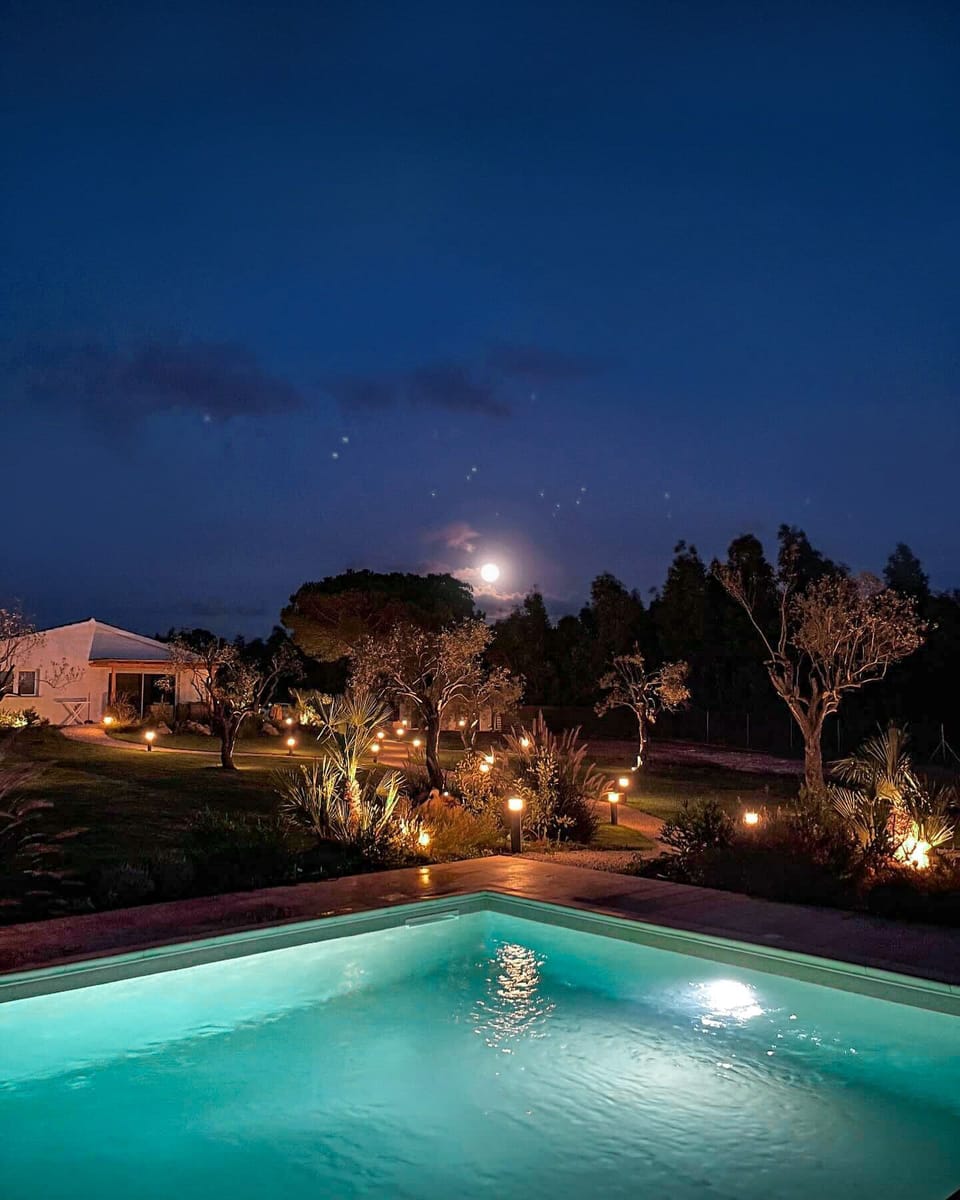 Seasonal outdoor pool, open 10:00 AM to 8:00 PM, pool umbrellas