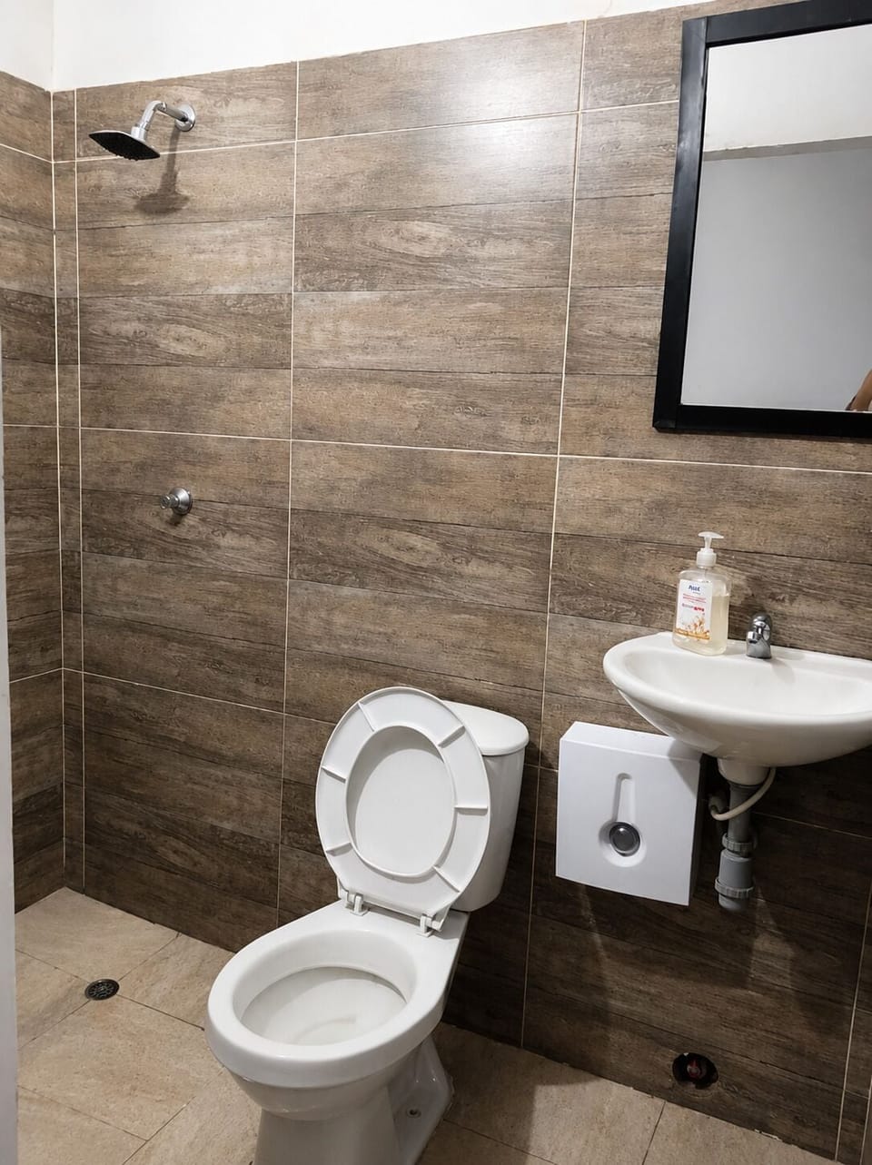 Shower, towels, soap, toilet paper