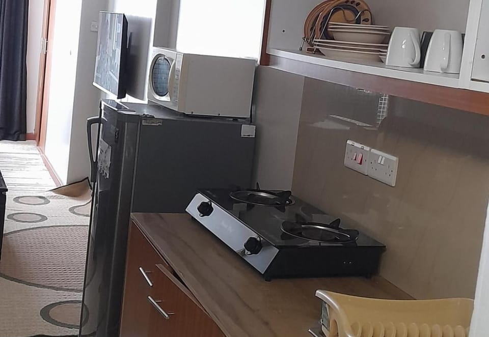 Fridge, microwave, stovetop, electric kettle