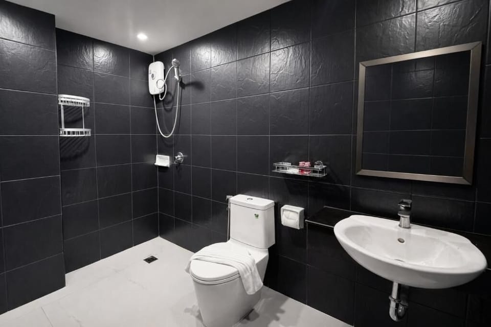 Shower, free toiletries, hair dryer, towels