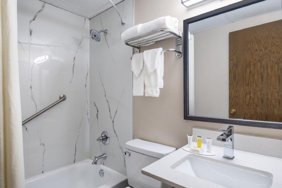 Deluxe Room, 1 Queen Bed, Non Smoking | Bathroom | Separate tub and shower, towels, toilet paper
