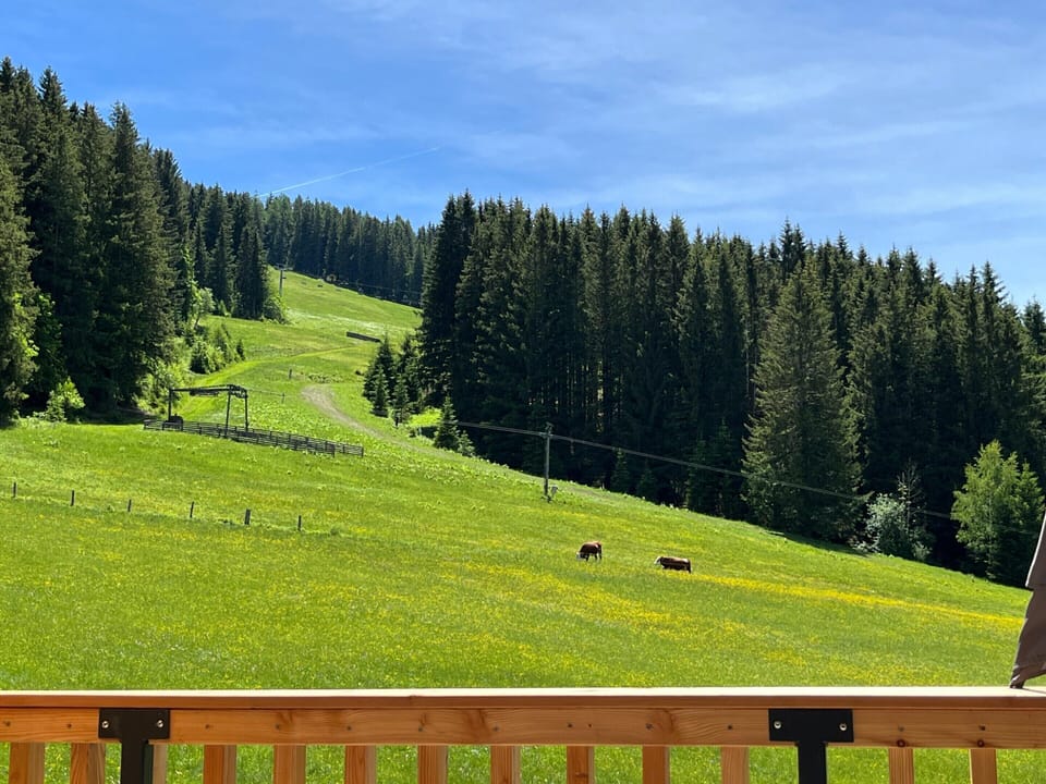 House | View from property