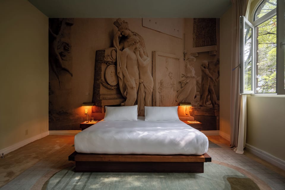Deluxe Suite | Egyptian cotton sheets, premium bedding, down comforters