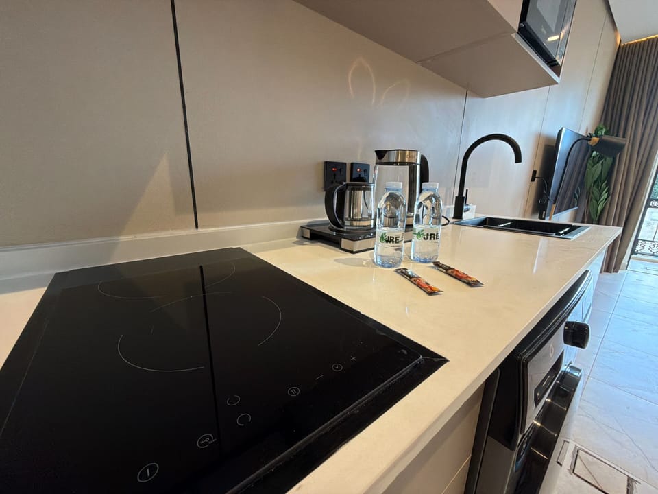 Apartment, 1 Bedroom, Accessible, Smoking | Interior