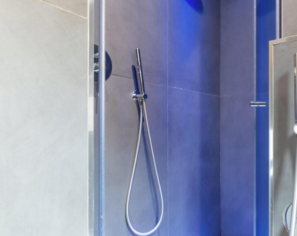 Double Room | Bathroom | Shower, hair dryer, towels, toilet paper