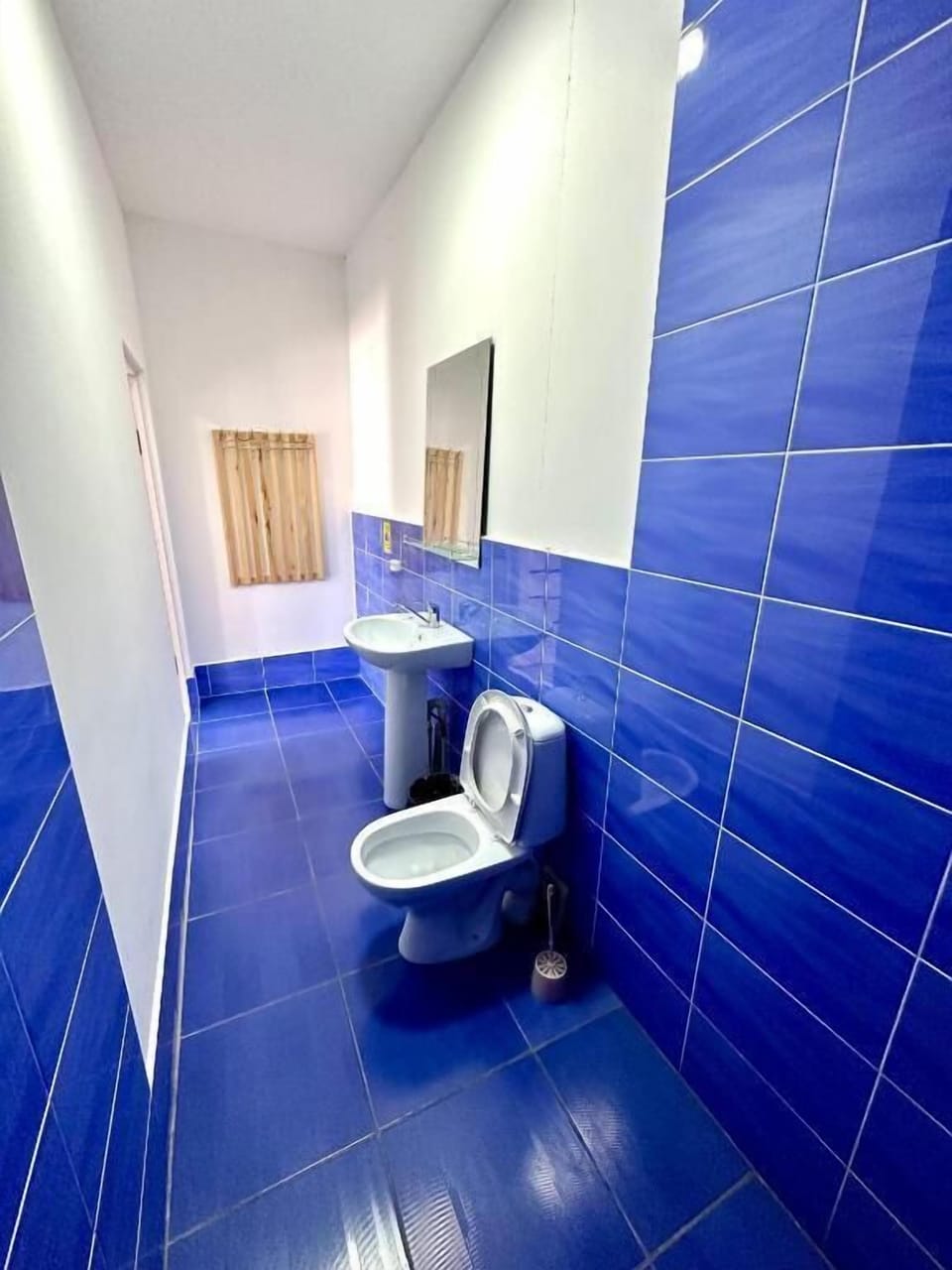 Shower, free toiletries, hair dryer (on request), towels